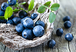 Bilberry extract